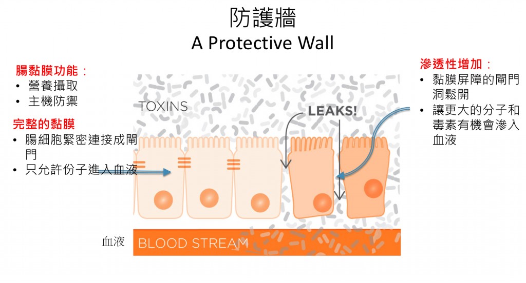 04592E29-295E-4723-9835-03B25316D90A